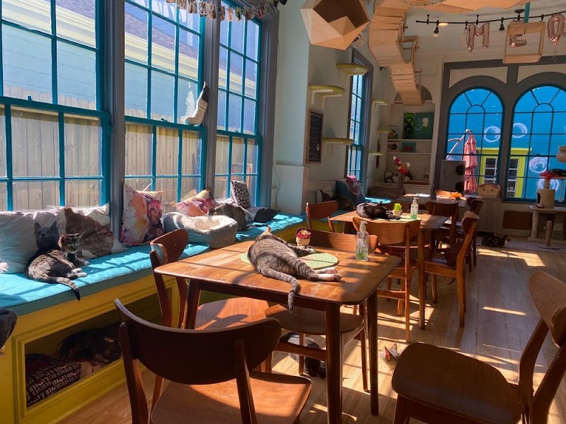 Photo of El Gato Coffeehouse