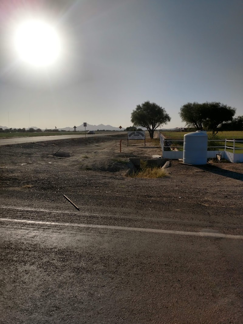 Photo of Burruel & Burruel Farms Partnership