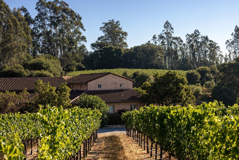 Fog Crest Vineyard photo 5