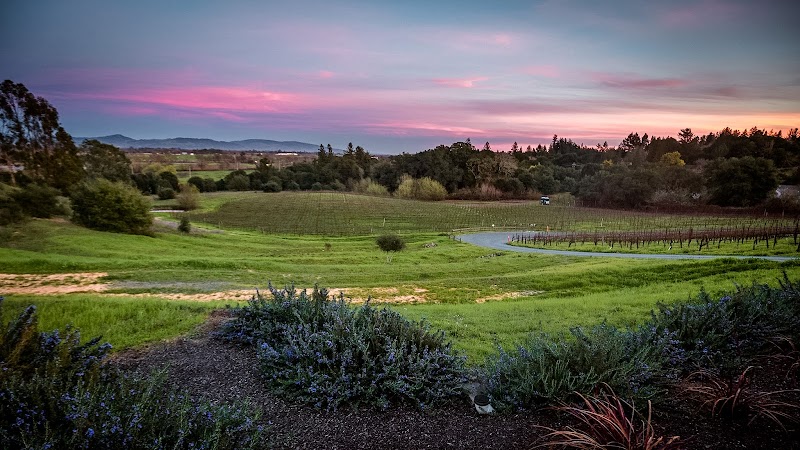 Fog Crest Vineyard photo 2