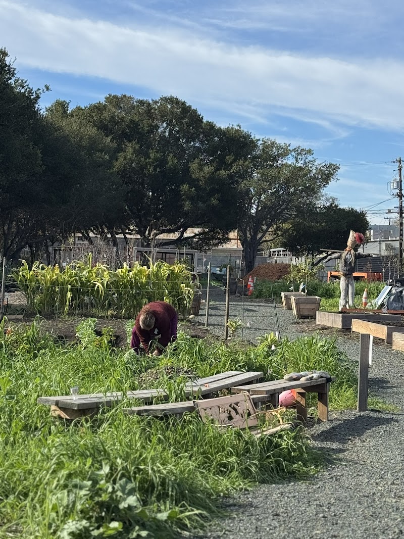 Photo of East Palo Alto Community Garden