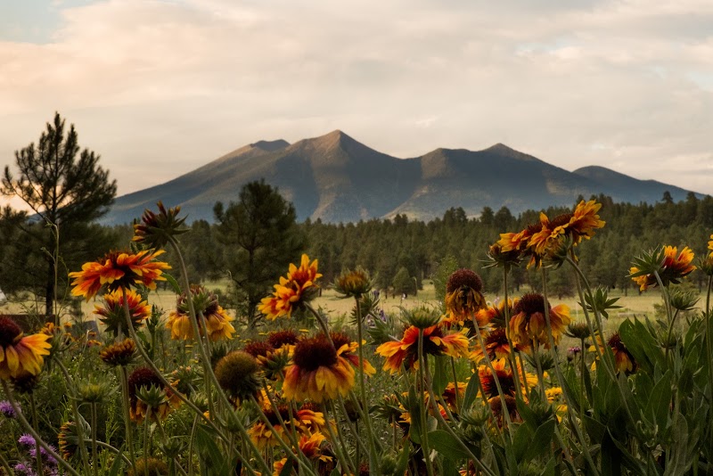 Photo of The Arboretum at Flagstaff