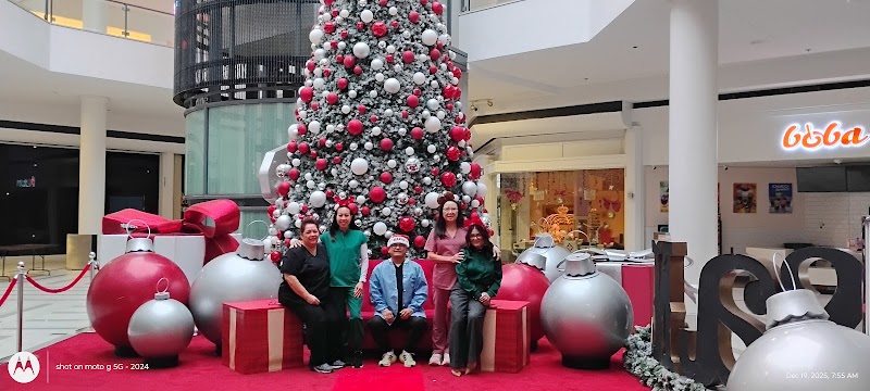 Newpark Mall Family Dental Group photo 3
