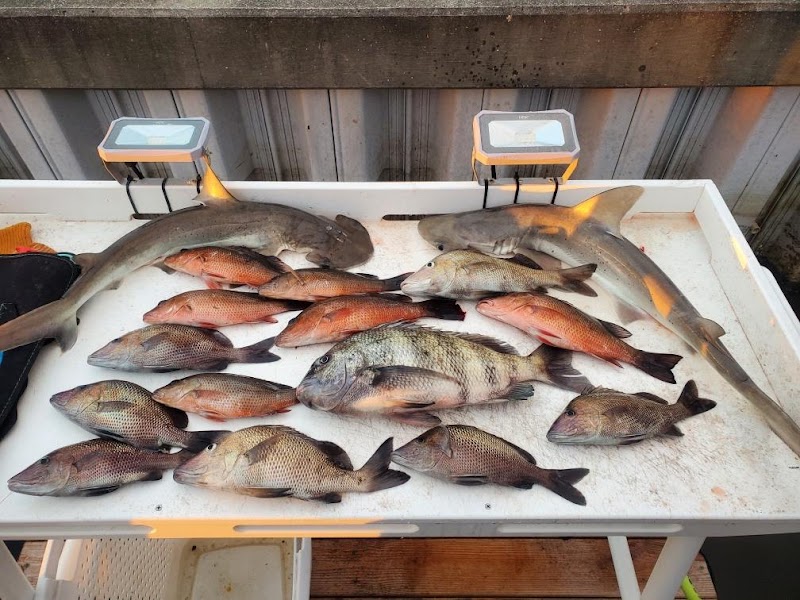 Poseidon Fishing Charters photo 5