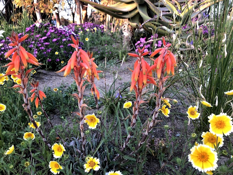 UC Davis Biological Orchard and Gardens (BOG) photo 2