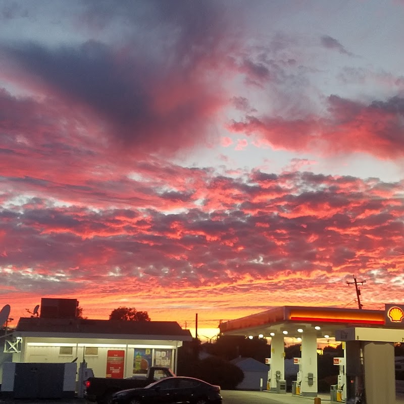 Shell photo 3