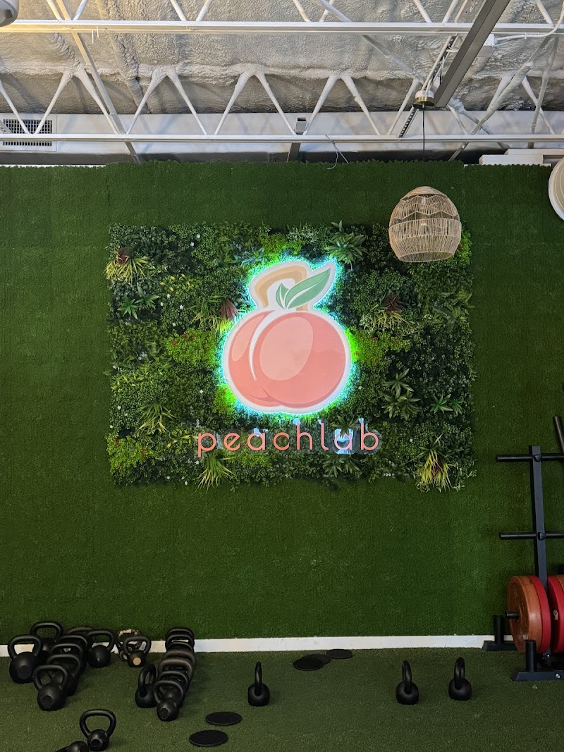 Peach Lab photo 5