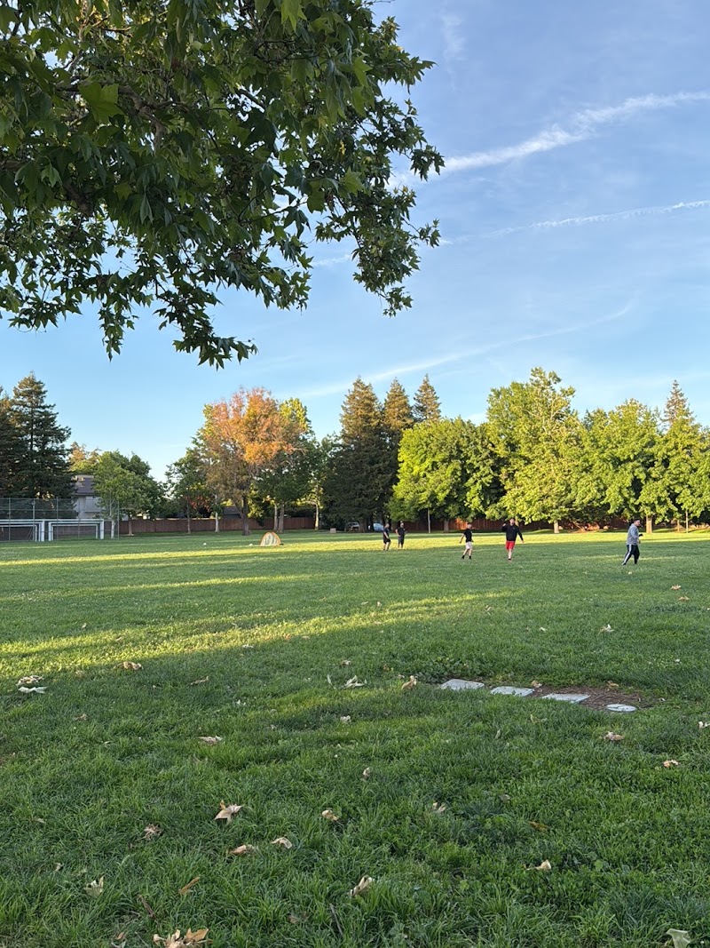 Rotteveel Field photo 2