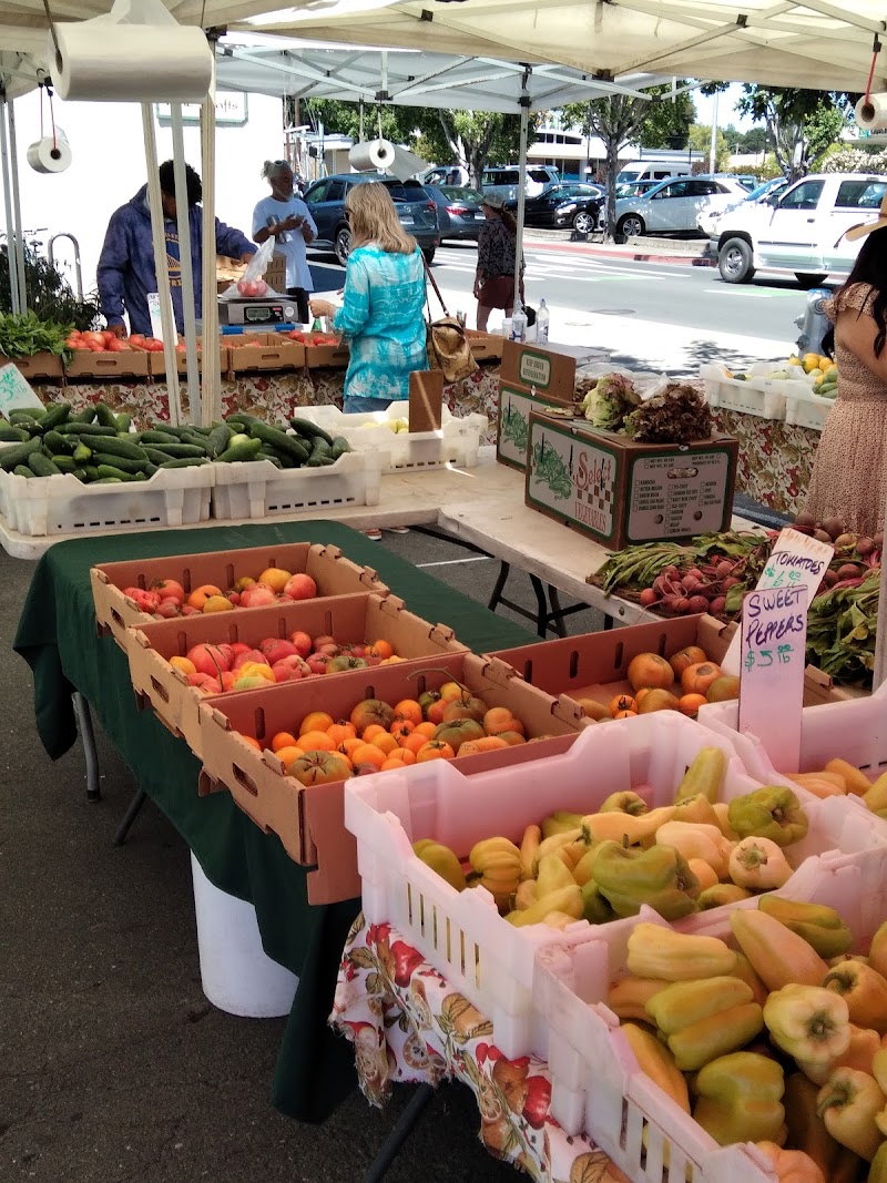 The Sebastopol Farmers' Market photo 2