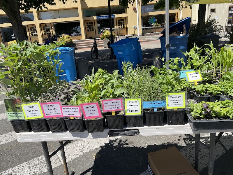 The Sebastopol Farmers' Market photo 3