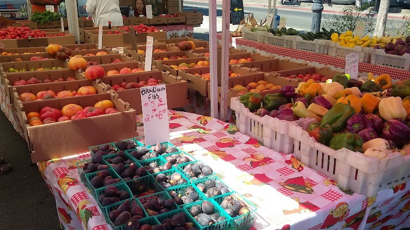 The Sebastopol Farmers' Market photo 5