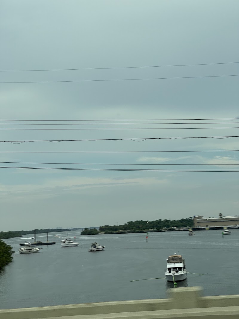 Doyle E. Carlton Bridge photo 5
