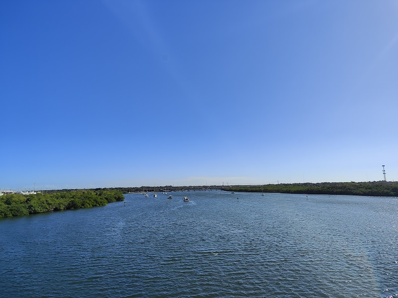 Photo of Doyle E. Carlton Bridge