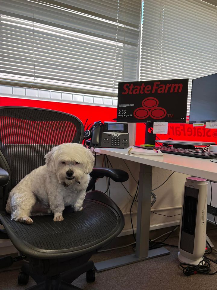 Trevor Lam - State Farm Insurance Agent photo 4