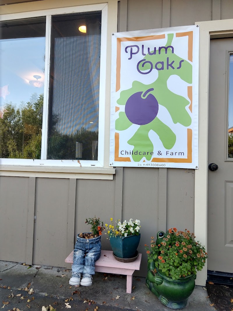 Plum Oaks Childcare & Farm photo 4