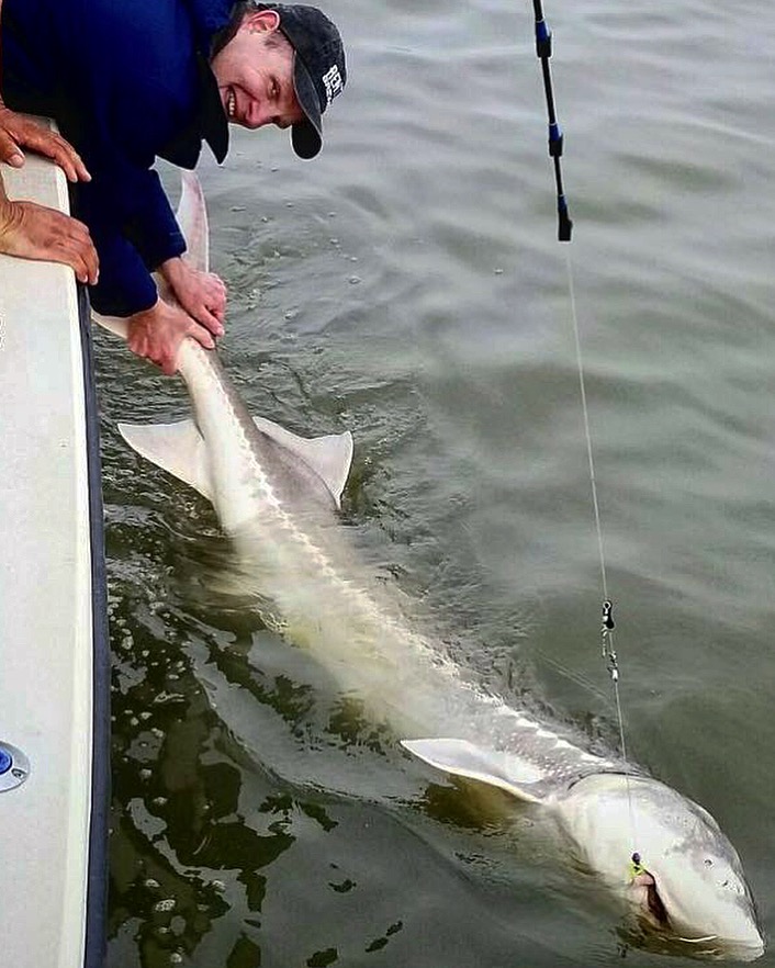 GATECRASHER FISHING ADVENTURES photo 3