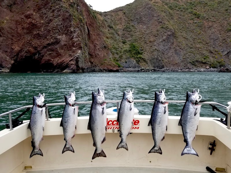 GATECRASHER FISHING ADVENTURES photo 4