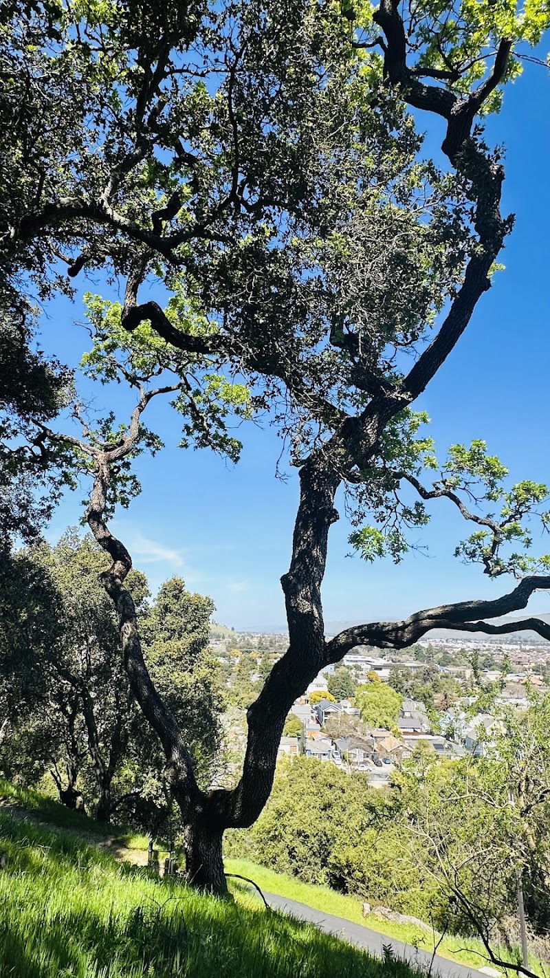 Third Street Creek Park photo 5