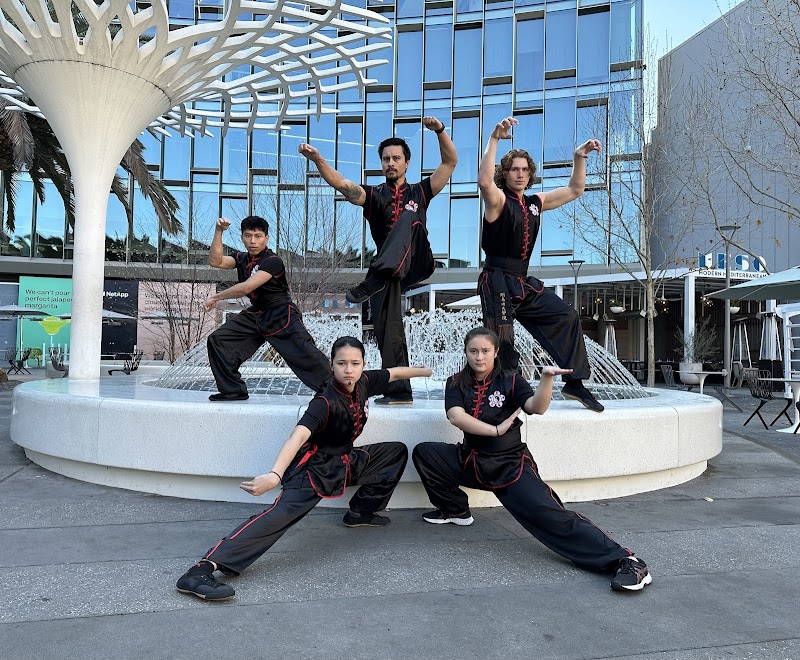 Concord Kung Fu Academy photo 3