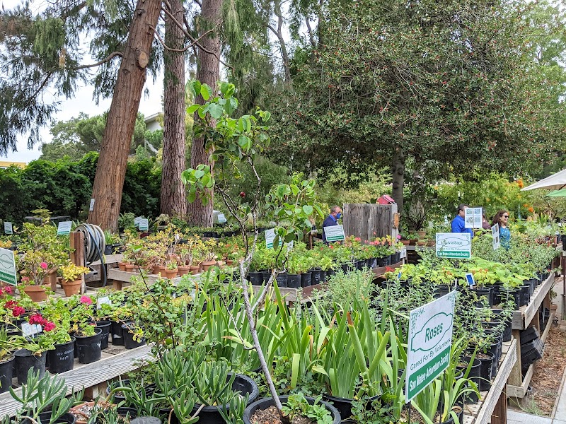 Photo of Fairy Garden