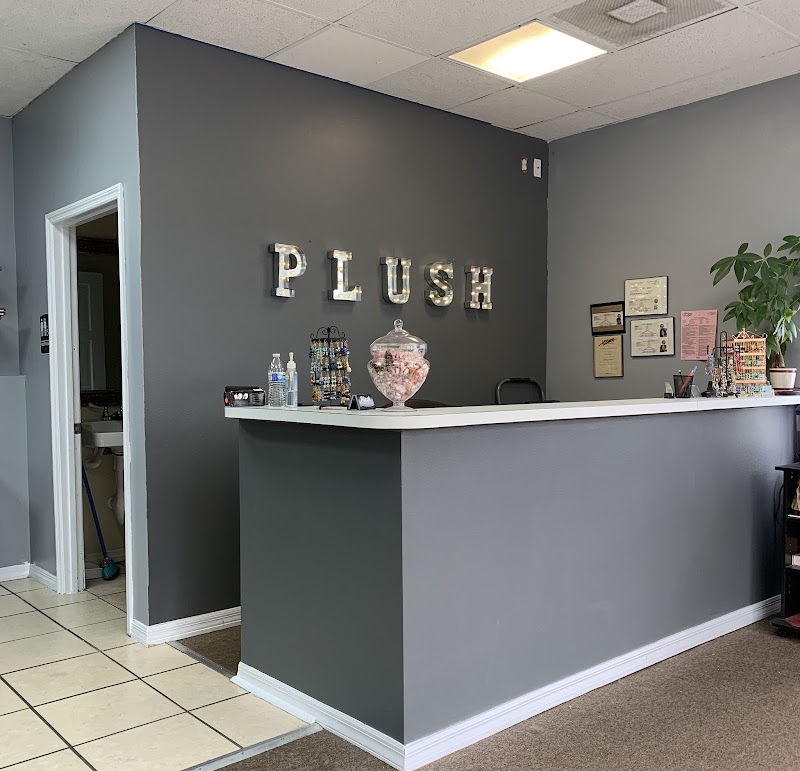Plush Hair Studio photo 4