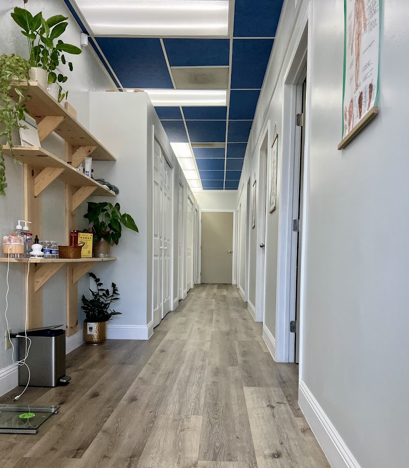 Photo of Reborn Acupuncture