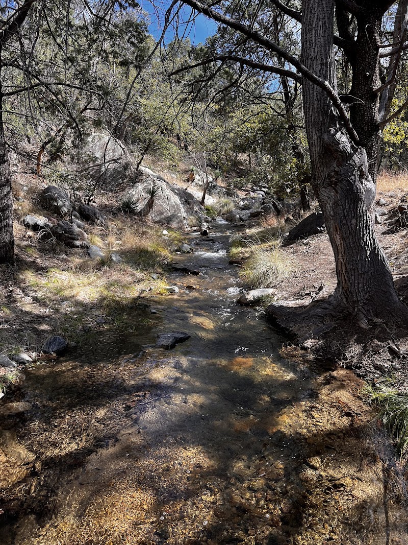 Madera Canyon Picnic Area photo 2