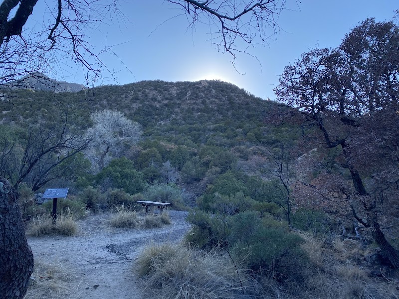 Photo of Madera Canyon Picnic Area